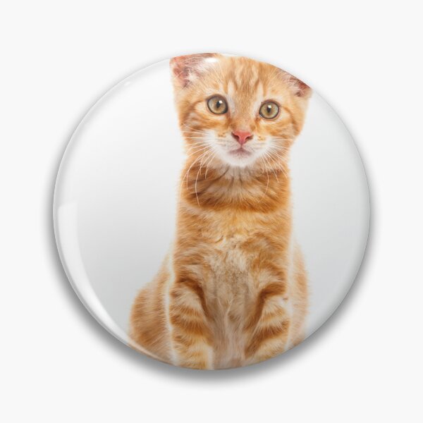 Item preview, cat chat kitten pet stickers art designers,t shirts,digital art,graphic tees,t shirt roblox, t shirt printing,white t shirt,cat kitten pet meow designed and sold by Redkaone.