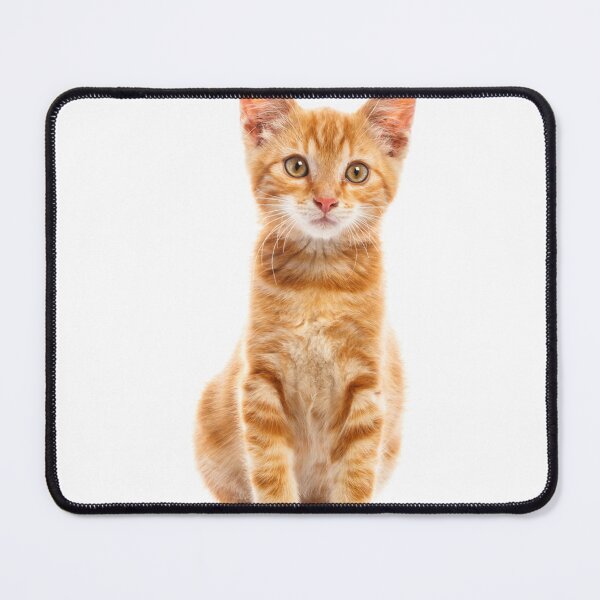 Item preview, cat chat kitten pet stickers art designers,t shirts,digital art,graphic tees,t shirt roblox, t shirt printing,white t shirt,cat kitten pet meow designed and sold by Redkaone.