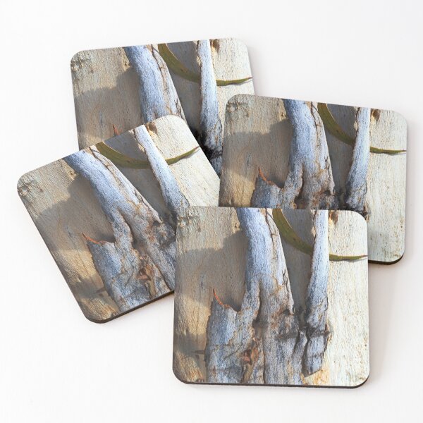 Item preview, Eucalyptus Bark designed and sold by Joy Watson - Natural Light Photography .