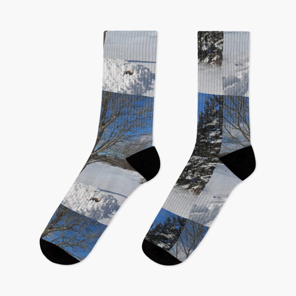 Item preview, Winter snowy country farmland , trees, snow and blue sky designed and sold by naturematters.