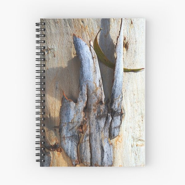 Item preview, Eucalyptus Bark designed and sold by Joy Watson - Natural Light Photography .