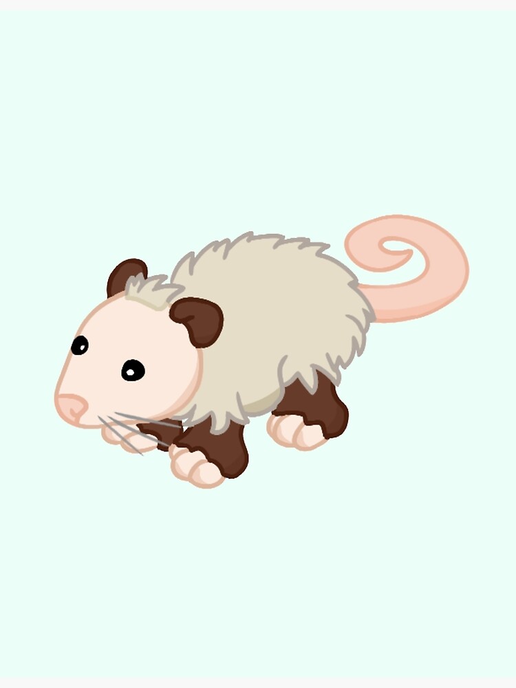 webkinz opossum