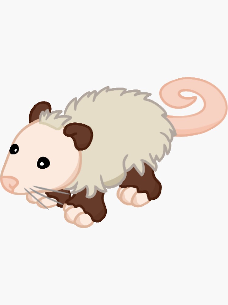 opossum webkinz