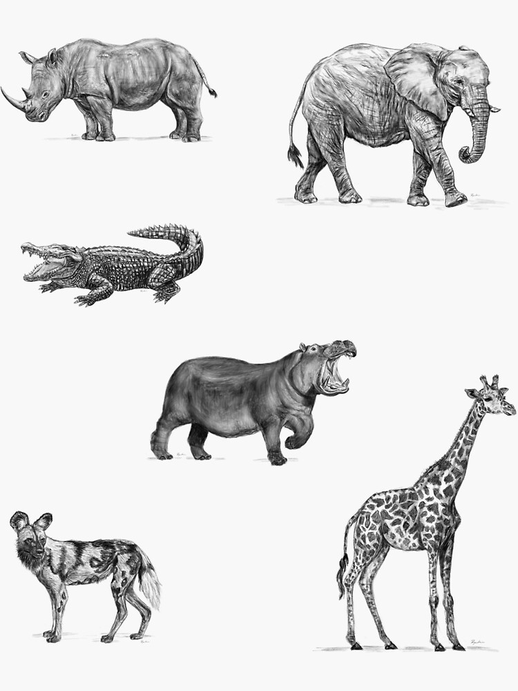 Découvrez le sticker mural rigolo hippopotame, animaux, Afrique, enfants  WS00000087