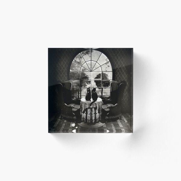 Room Skull Acrylic Block
