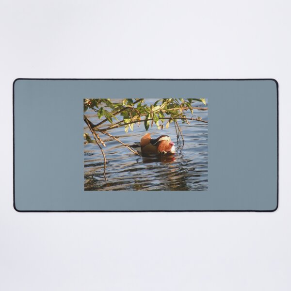 Item preview, Male Mandarin Duck Floating under Foliage Photograph designed and sold by naturegallery.