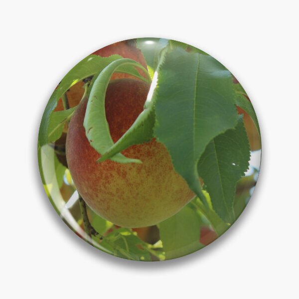 Item preview, Fresh Wild Peaches designed and sold by Gray-Atelier.