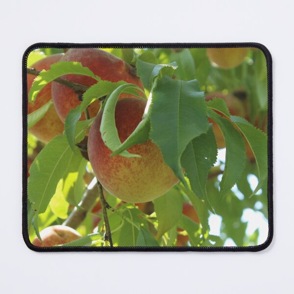 Item preview, Fresh Wild Peaches designed and sold by Gray-Atelier.