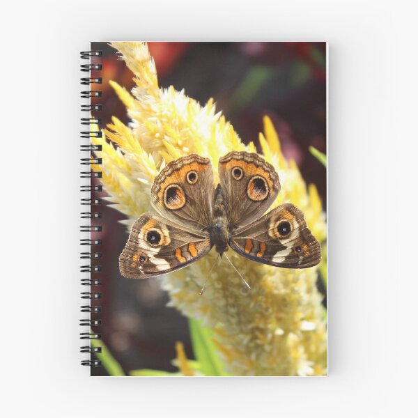 Item preview, Butterfly on Flower designed and sold by Gray-Atelier.