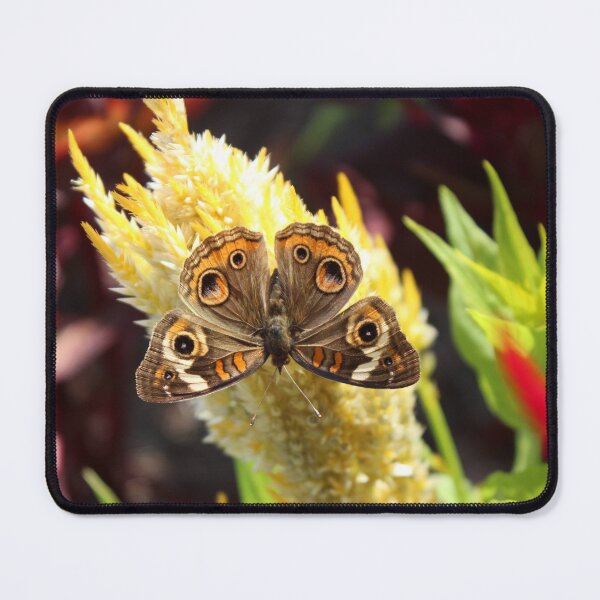 Item preview, Butterfly on Flower designed and sold by Gray-Atelier.