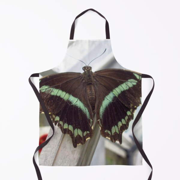Item preview, Narrow Green-Banded Swallowtail Butterfly designed and sold by MartinPhotos.