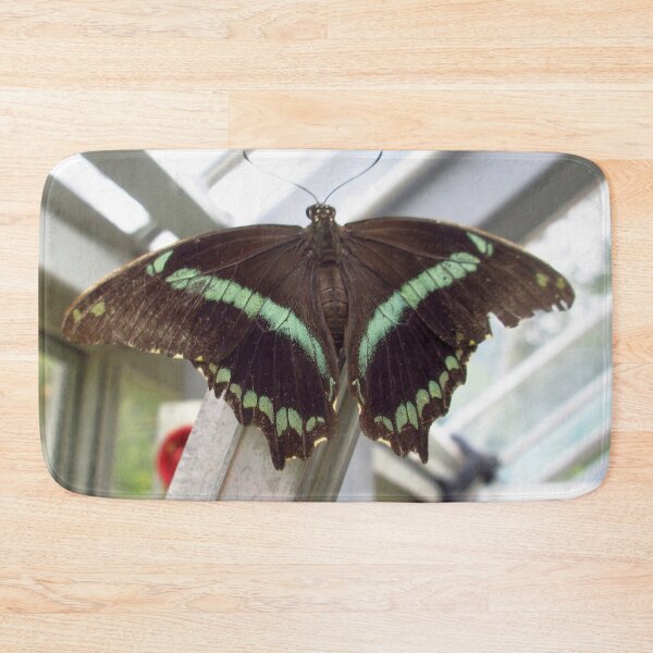 Item preview, Narrow Green-Banded Swallowtail Butterfly designed and sold by MartinPhotos.