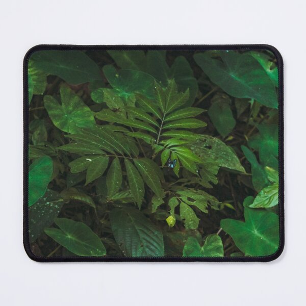 Item preview, The butterfly on the leaf. designed and sold by Estefania Bozzo.