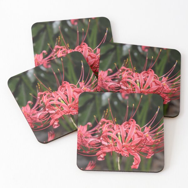 Item preview, Red Spider Lilies designed and sold by Gray-Atelier.