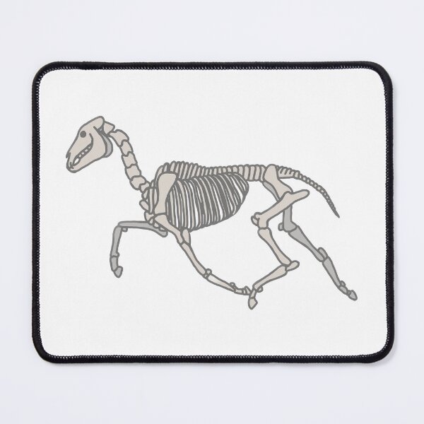 Item preview, Horse Anatomy designed and sold by katiek-franklin.