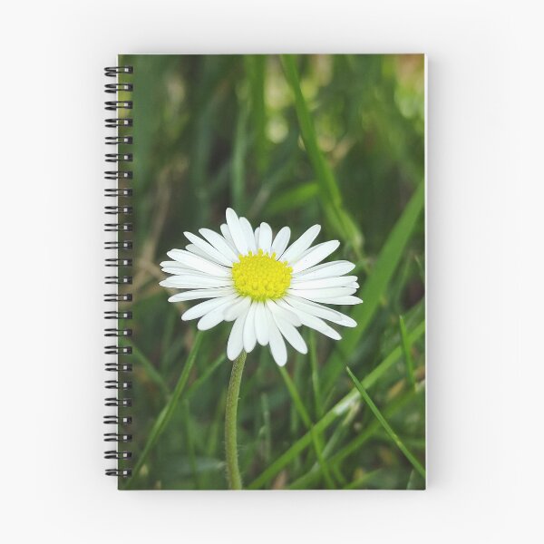 Item preview, Daisy flower photograph designed and sold by KHWD.