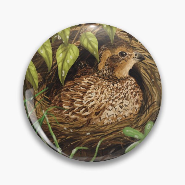 Item preview, Female Northern Bobwhite Quail Sitting on a Nest in the Woods designed and sold by Nick Garnhart.