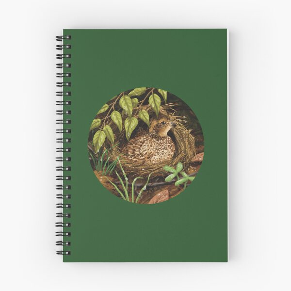 Item preview, Female Northern Bobwhite Quail Sitting on a Nest in the Woods designed and sold by Nick Garnhart.