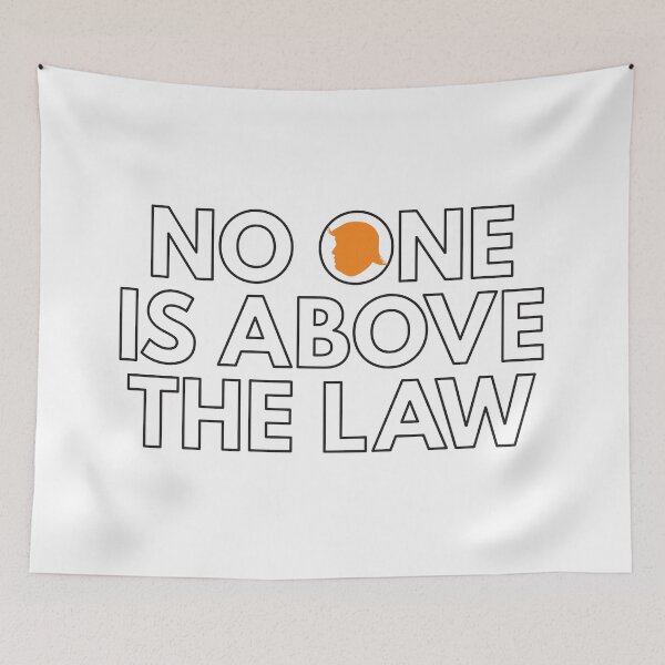 Item preview, No one is above the law outline designed and sold by Politics-Corner.