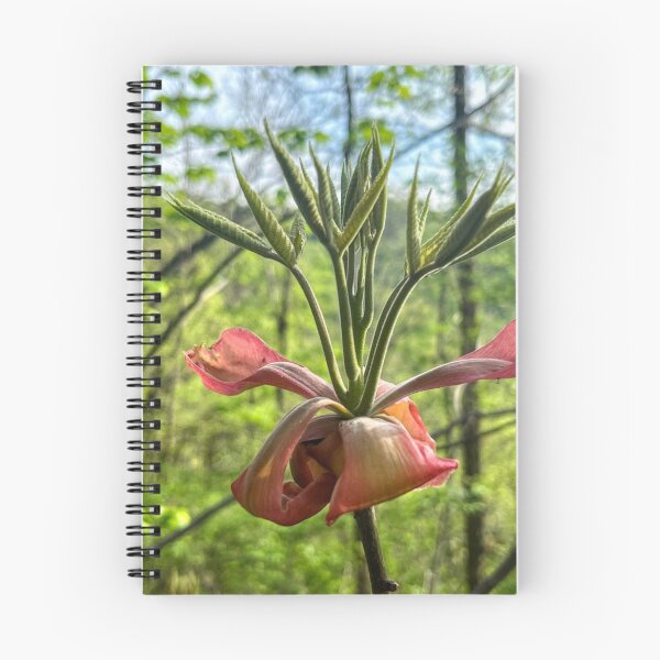 Item preview, Blooming Hickory Tree designed and sold by emikat-art.