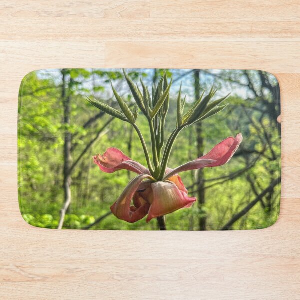 Item preview, Blooming Hickory Tree designed and sold by emikat-art.