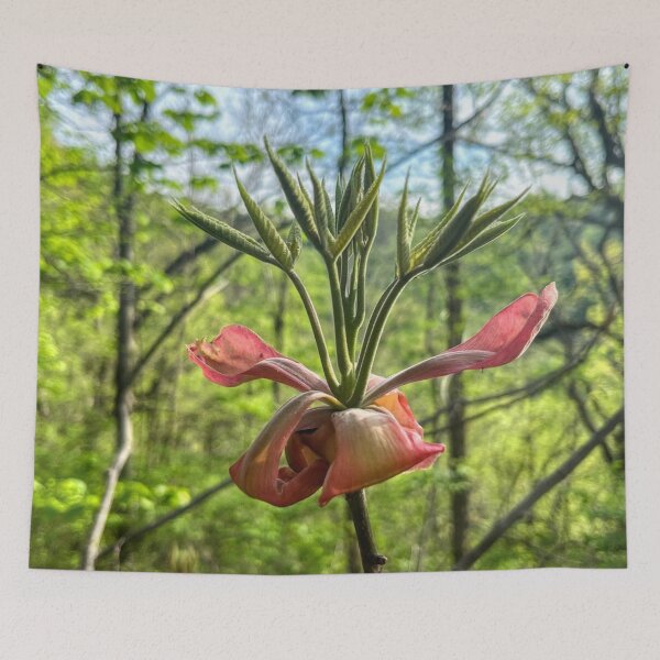 Item preview, Blooming Hickory Tree designed and sold by emikat-art.