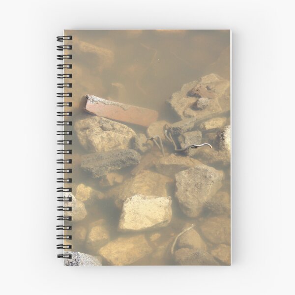 Item preview, Sunken Rubble designed and sold by Gray-Atelier.