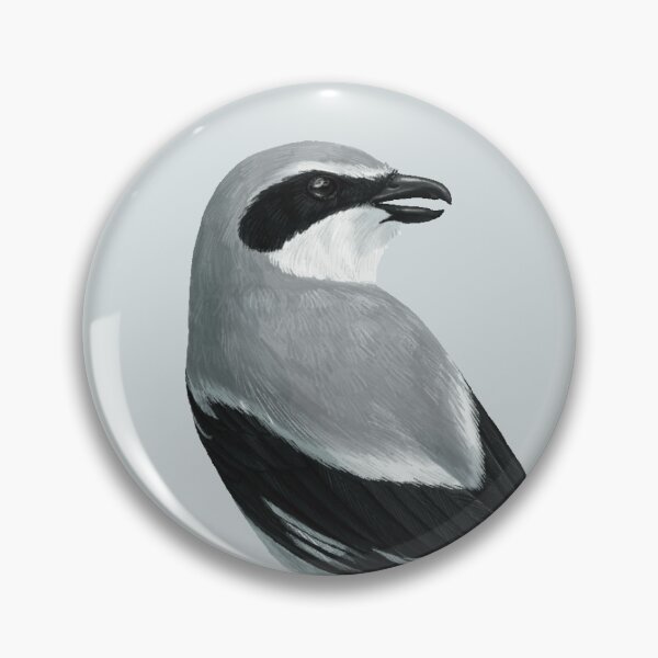 Item preview, Loggerhead Shrike Bird Sitting on a Branch with a Bug designed and sold by Nick Garnhart.
