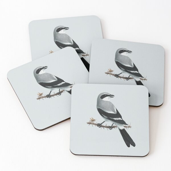 Item preview, Loggerhead Shrike Bird Sitting on a Branch with a Bug designed and sold by Nick Garnhart.