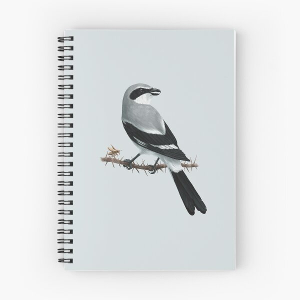 Item preview, Loggerhead Shrike Bird Sitting on a Branch with a Bug designed and sold by Nick Garnhart.