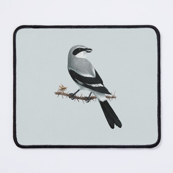 Item preview, Loggerhead Shrike Bird Sitting on a Branch with a Bug designed and sold by Nick Garnhart.