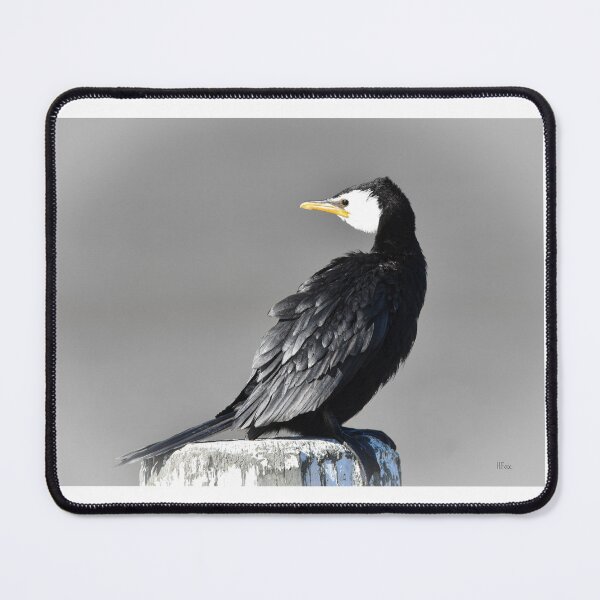 Item preview, Little shag Nelson New Zealand designed and sold by Helenafox.