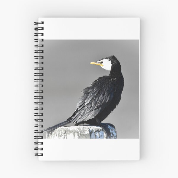 Item preview, Little shag Nelson New Zealand designed and sold by Helenafox.
