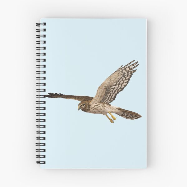 Item preview, Female Northern Harrier Flying designed and sold by Nick Garnhart.