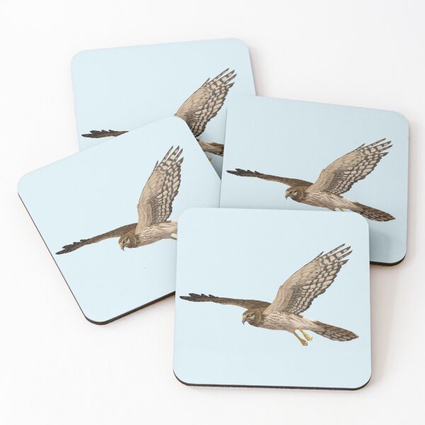 Item preview, Female Northern Harrier Flying designed and sold by Nick Garnhart.