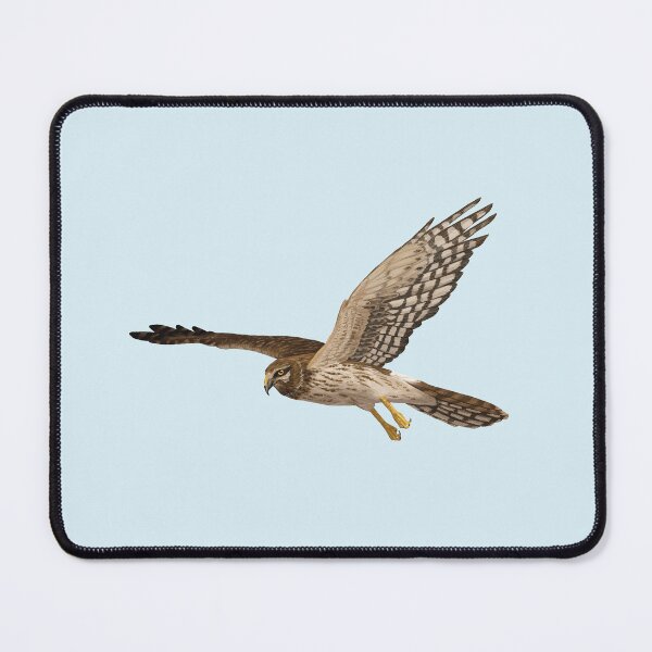 Item preview, Female Northern Harrier Flying designed and sold by Nick Garnhart.