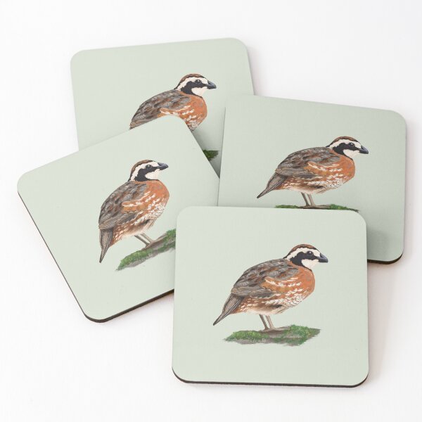 Item preview, Northern Bobwhite Male standing on the ground designed and sold by Nick Garnhart.