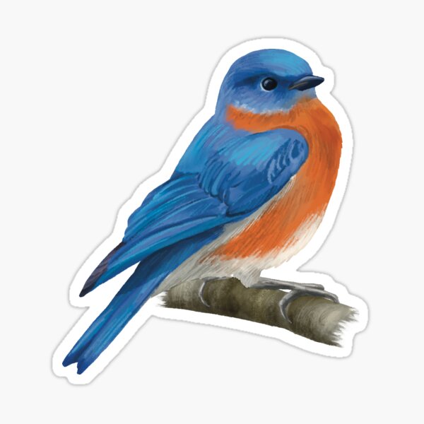 Item preview, Eastern Bluebird sitting in a tree on a branch designed and sold by Nick Garnhart.