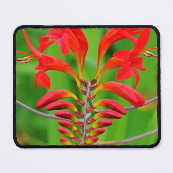 Item preview, Fiery Lucifer designed and sold by Deb Oppermann.