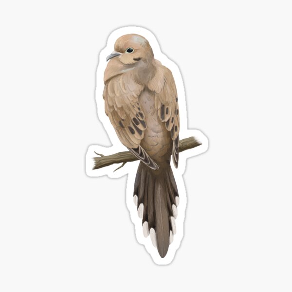 Item preview, Mourning Dove sitting on a Branch in a tree designed and sold by Nick Garnhart.