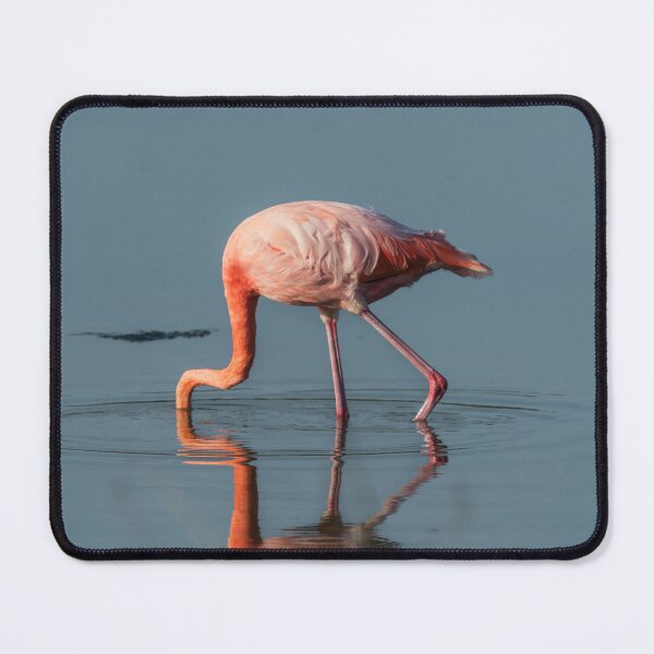 Item preview, Flamingo Peaking Underwater designed and sold by Juan Martin Cueva.