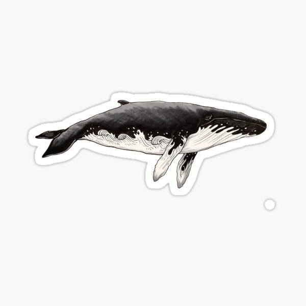 Whale and the Waves Sticker