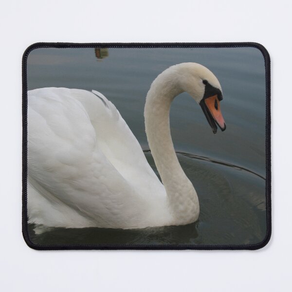 Item preview, Swan designed and sold by nadiine20.