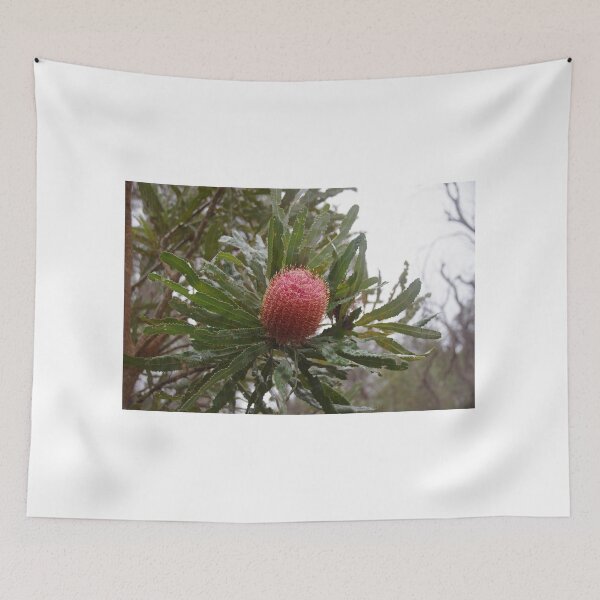 Item preview, Banksia Menziesii At The Karnup Reserve designed and sold by lezvee.
