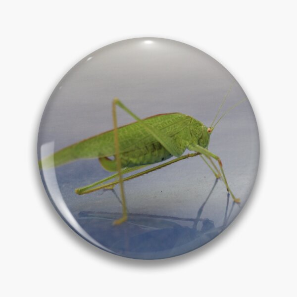 Item preview, Locust designed and sold by nadiine20.