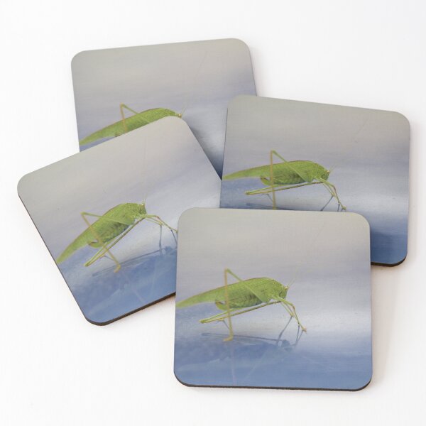 Item preview, Locust designed and sold by nadiine20.