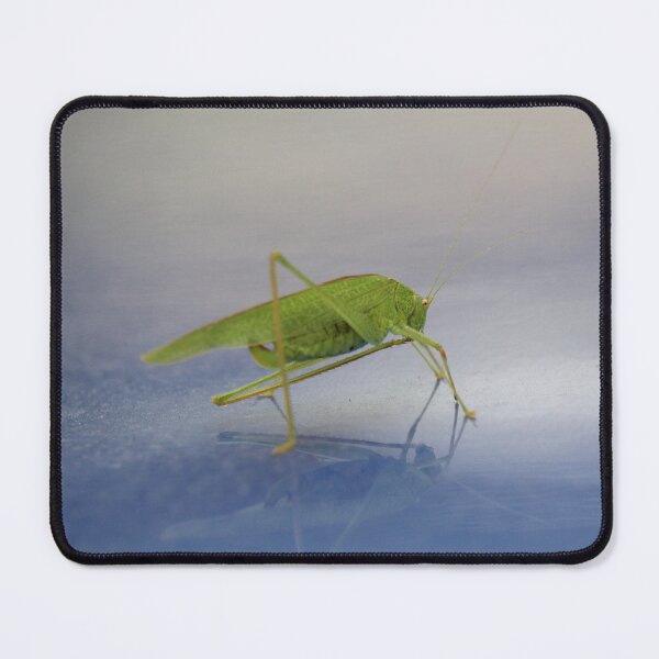 Item preview, Locust designed and sold by nadiine20.