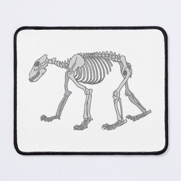 Item preview, Bear Anatomy designed and sold by katiek-franklin.