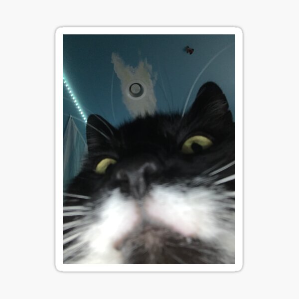 Neues Telefon, wer ist das? Sticker