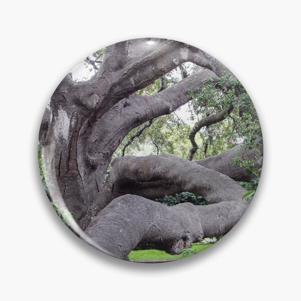 Item preview, Nature's Twists & Turns designed and sold by heatherfriedman.